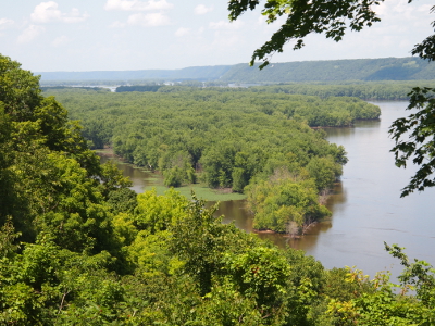 [A single bloom with pink-purple petals hanging straight down from a triangular-shaA view from above looking down the hillside to the Mississippi River. Not much water is seen on one side due to a large, heavily-treed island.]